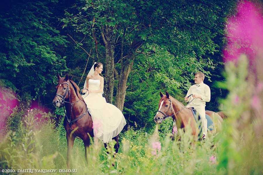 жених и невеста на лошадях